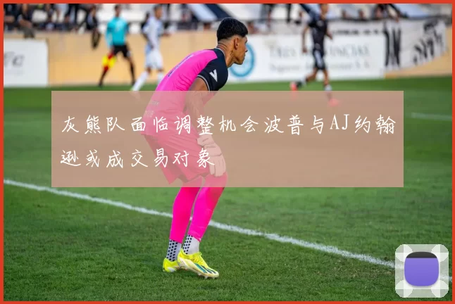 灰熊队面临调整机会波普与AJ约翰逊或成交易对象